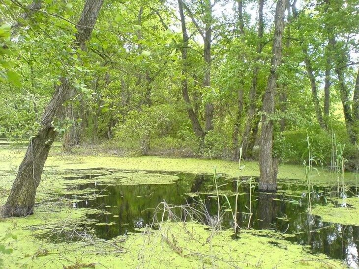  تالاب کندوچال چالوس